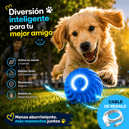 Pelota inteligente para tu mejor amigo