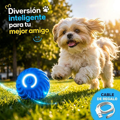 Pelota inteligente para tu mejor amigo